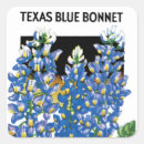 Search for texas blues stickers Flower