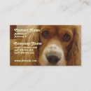 Search for breeding business cards Puppy