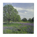 Search for meadow tiles Purple