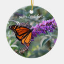 Search for monarch christmas tree decorations Orange