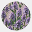 Search for hyacinth stickers Floral
