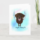 Search for chocolates note cards Labrador