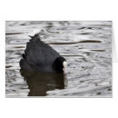 Search for wildfowling Bird