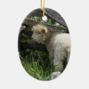 Search for pesach christmas tree decorations Passover