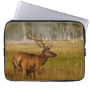 Search for elks electronics Rocky mountain