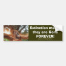 Search for ape bumper stickers Orangutans