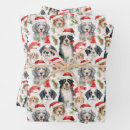 Search for bernese mountain dog christmas wrapping paper Pattern