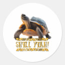 Search for tortoise shell stickers Ocean