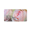 Search for rose return photography Floral