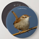 Search for little brown badges Bird