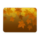 Search for maples magnets Autumn