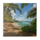 Search for maui tiles Tropical