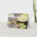 Search for toad birthday cards Swamp
