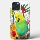 Search for budgerigar iphone cases Parakeet