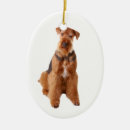 Search for airedale terrier christmas tree decorations Animal