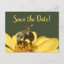 Search for bee save the dates Meant to bee