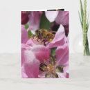 Search for bee lated Flowers