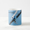 Search for mountain bluebird mugs Wildlife