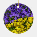 Search for viola christmas tree decorations Colourful