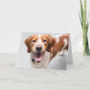 Search for brittany spaniel stuff cards Dog
