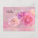 Search for carnations postcards Pink