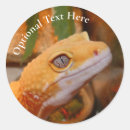 Search for leopard gecko stickers Lizard