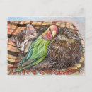 Search for buddies postcards Pet