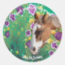 Search for appaloosa stickers Horse lover