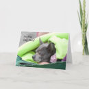 Search for feeling low cards Black