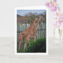 Search for giraffe mothers day cards Safari
