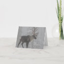 Search for wildlife christmas cards Outdoors
