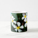 Search for plumeria flowers mugs Hawaiian