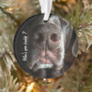 Search for dog lover christmas tree decorations Brown