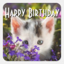 Search for happy kitten stickers Purple