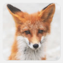 Search for red fox stickers Fauna