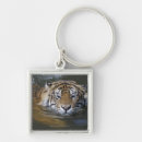 Search for animal body part key rings Animals