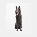 Search for black pug blankets Wolf