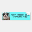 Search for adopt a dog bumper stickers Rescue