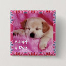 Search for domesticated square badges Pets