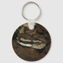 Search for terrarium key rings Reptile
