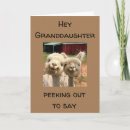 Search for emu birthday cards Adult