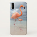 Search for aruba iphone cases Caribbean sea