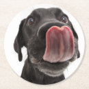 Search for black labrador coasters Pet