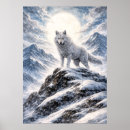 Search for arctic wolf posters Winter