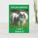 Search for new dog congratulations cards Friend