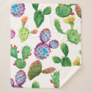 Search for watercolor cactus blankets Arizona