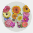 Search for alphabet w stickers Flowers