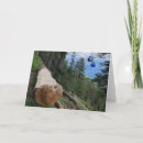 Search for mountainside Forest