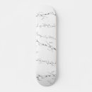 Search for cracks skateboards White