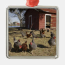 Search for poultries christmas tree decorations Animal